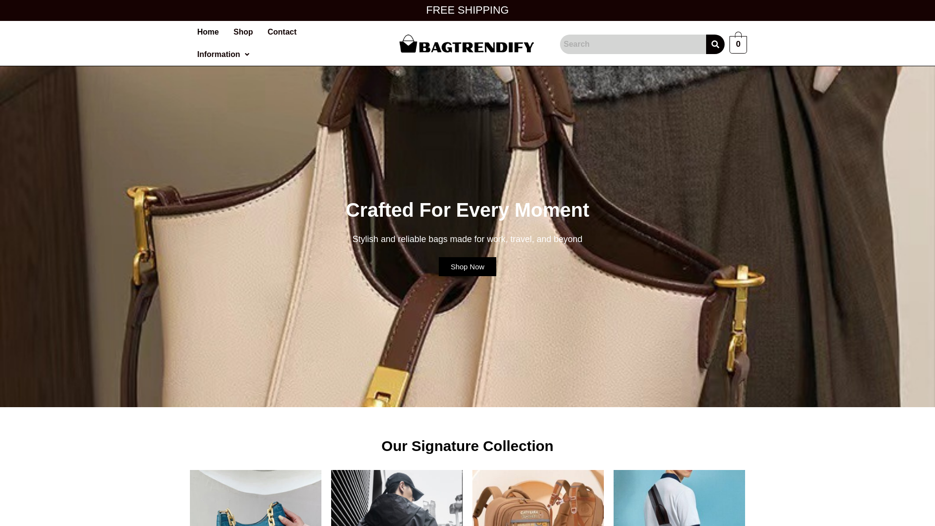 website screenshot of https://bagtrendify.com/