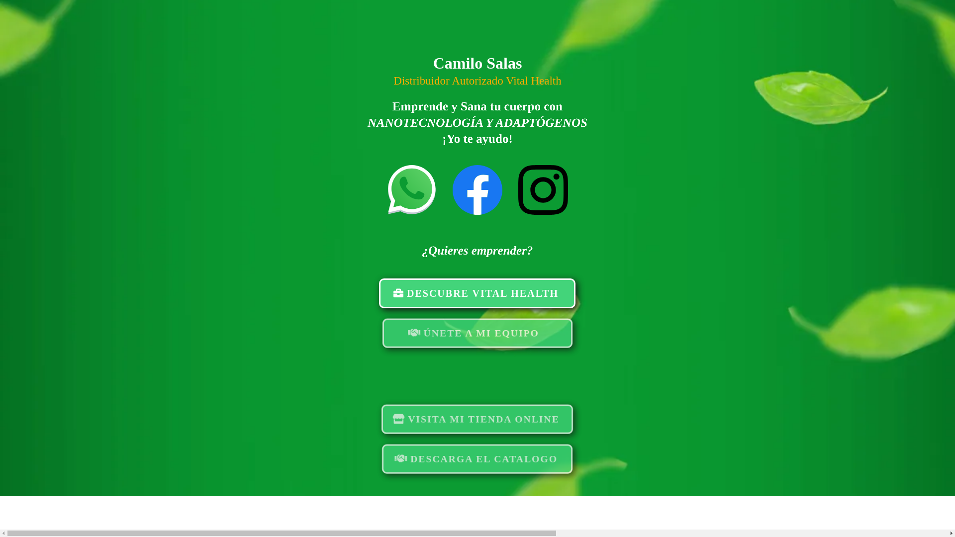 website screenshot of https://camilosalasramirezksr.lat/