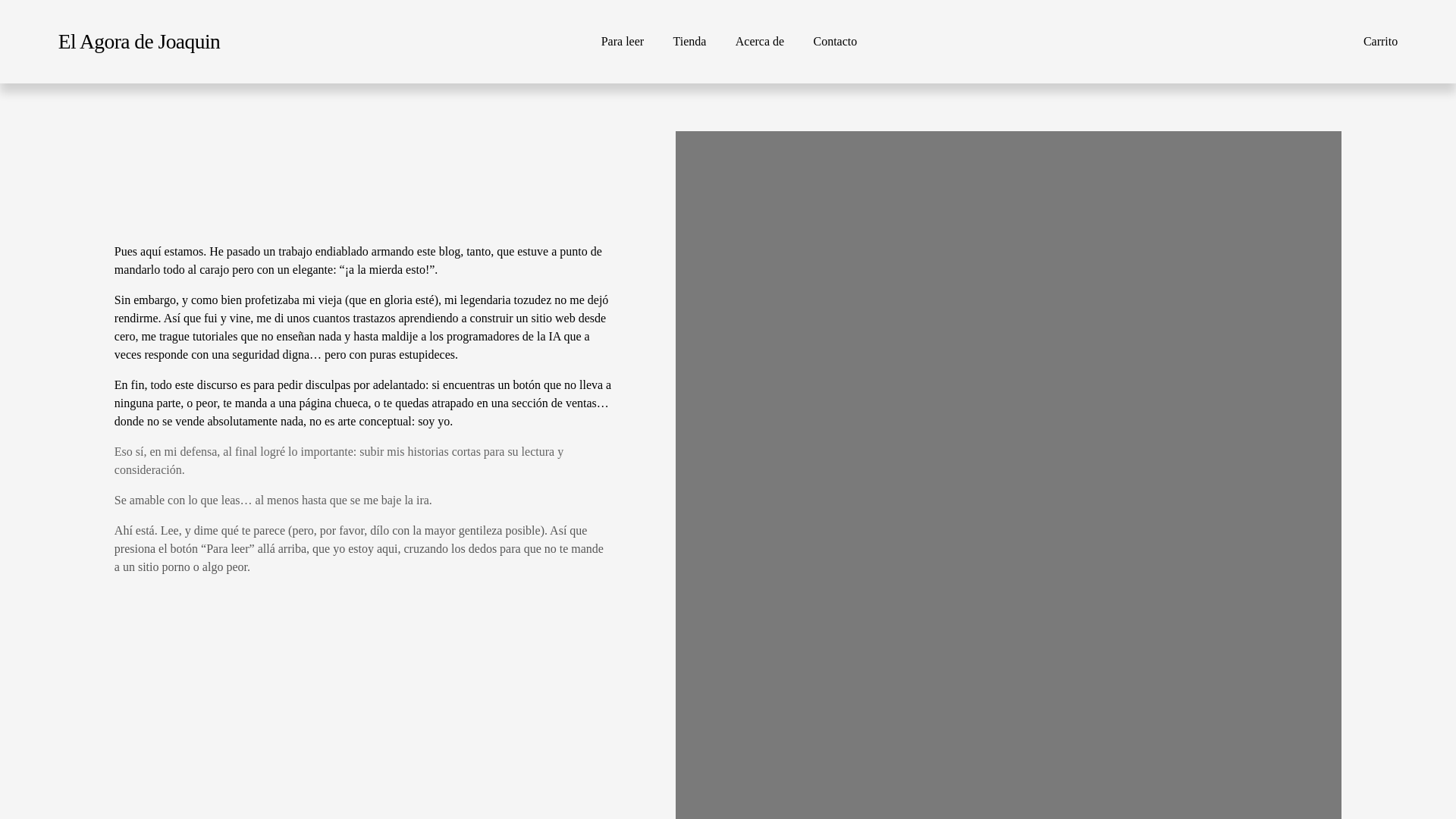 website screenshot of https://elagoradejoaquin.com/