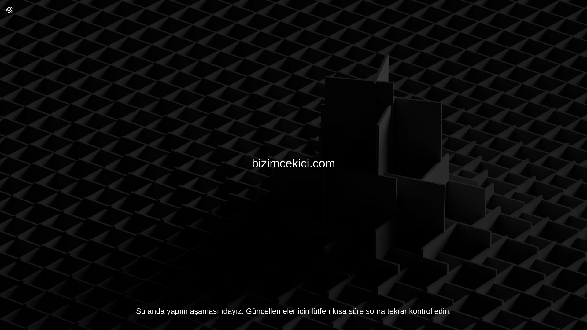 website screenshot of https://bizimcekici.com/