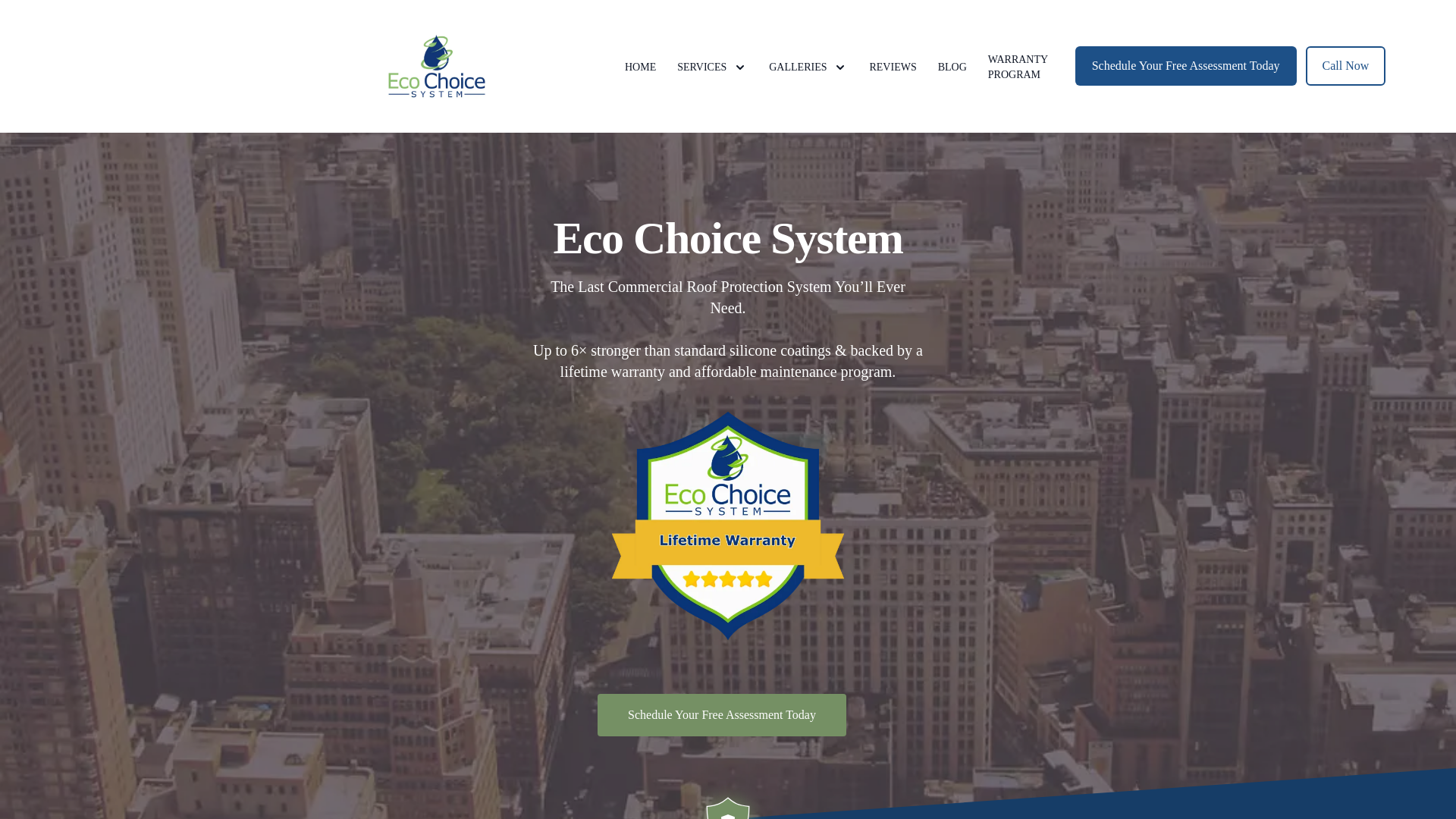 website screenshot of https://goecochoiceservices.co/