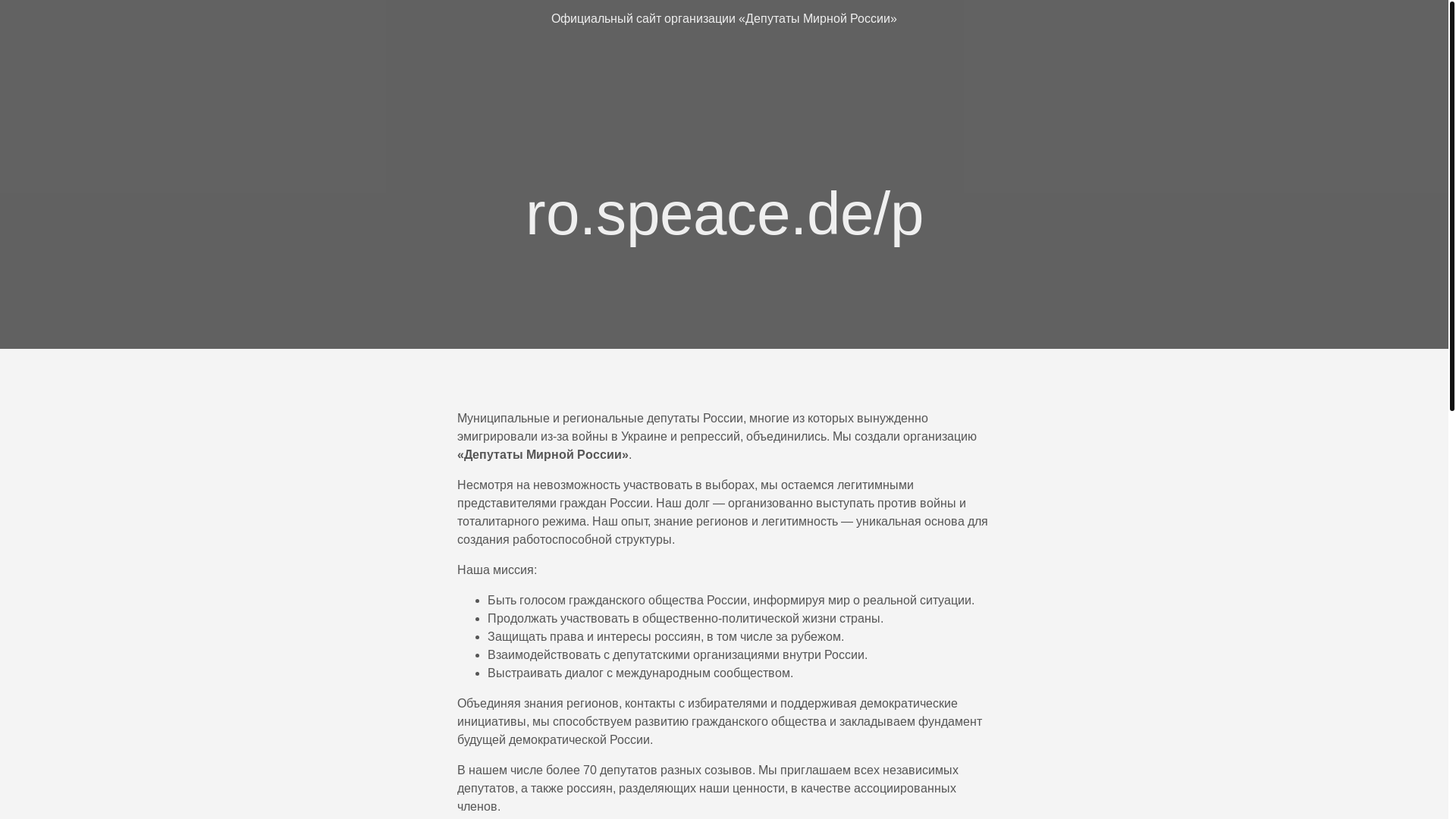 website screenshot of https://speace.de/
