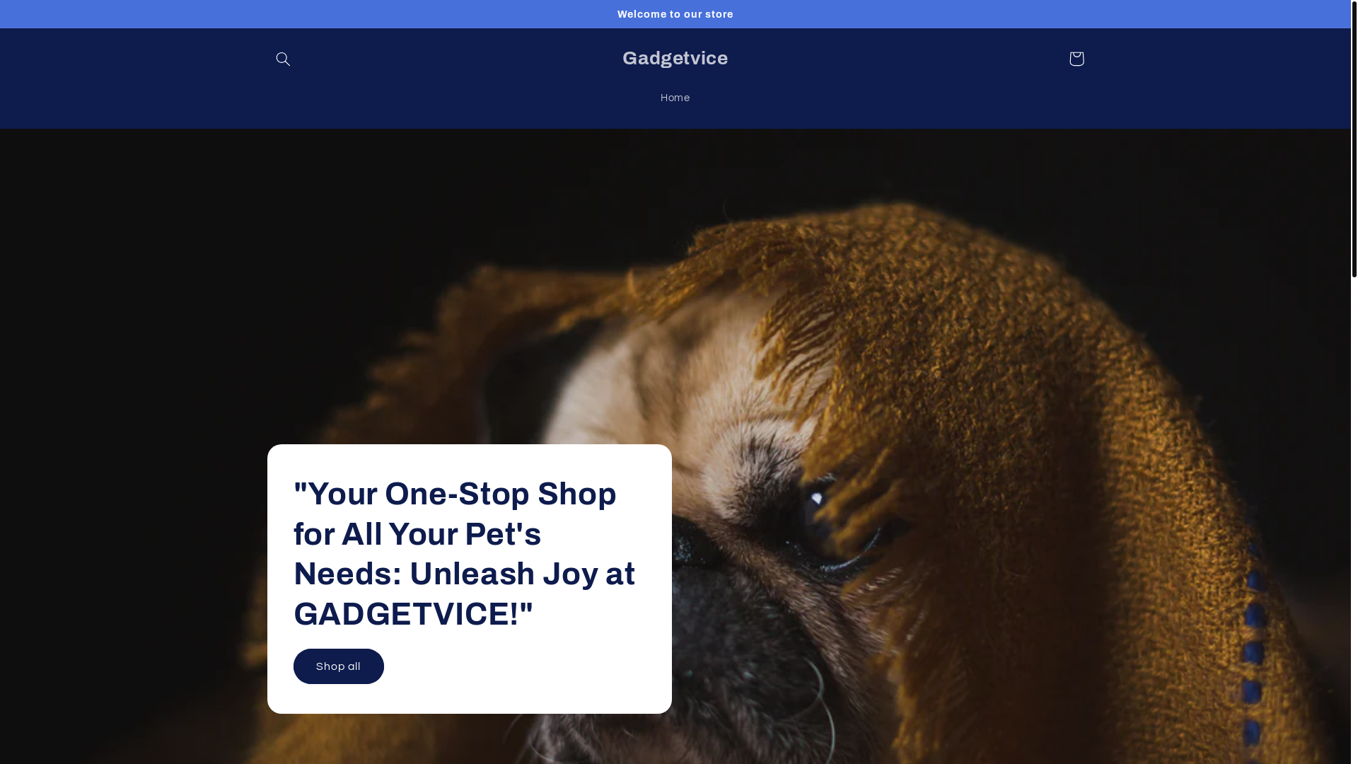 website screenshot of https://gadgetvice.co.uk/