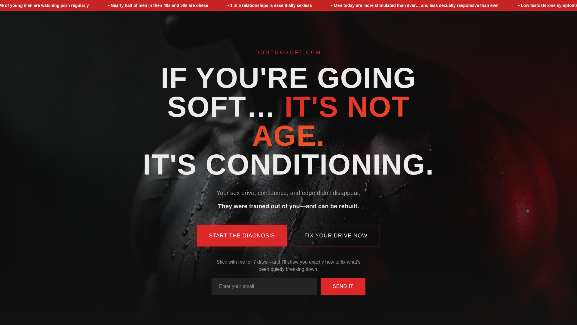 website screenshot of https://dontgosoft.com/