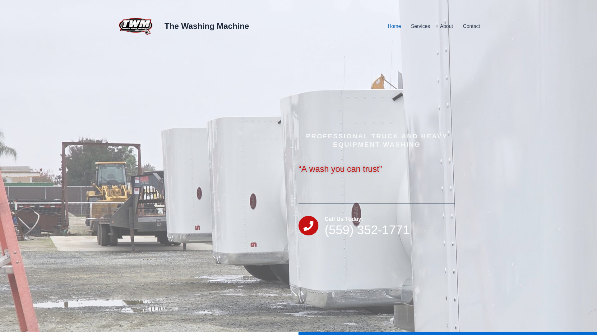 website screenshot of https://twmmobilewash.com/