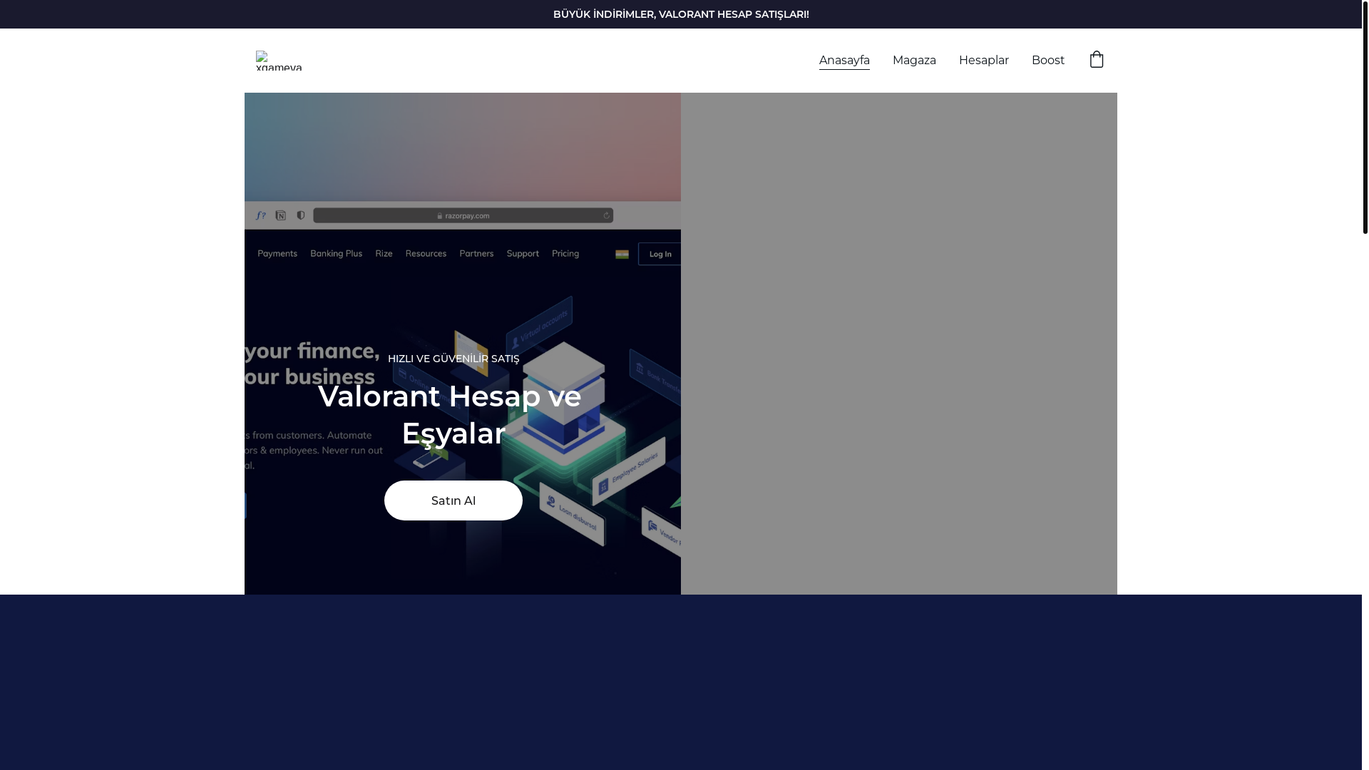website screenshot of https://pacesblog.space/