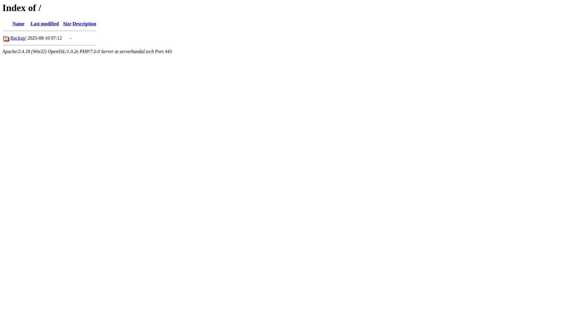 website screenshot of https://serverhandal.tech/