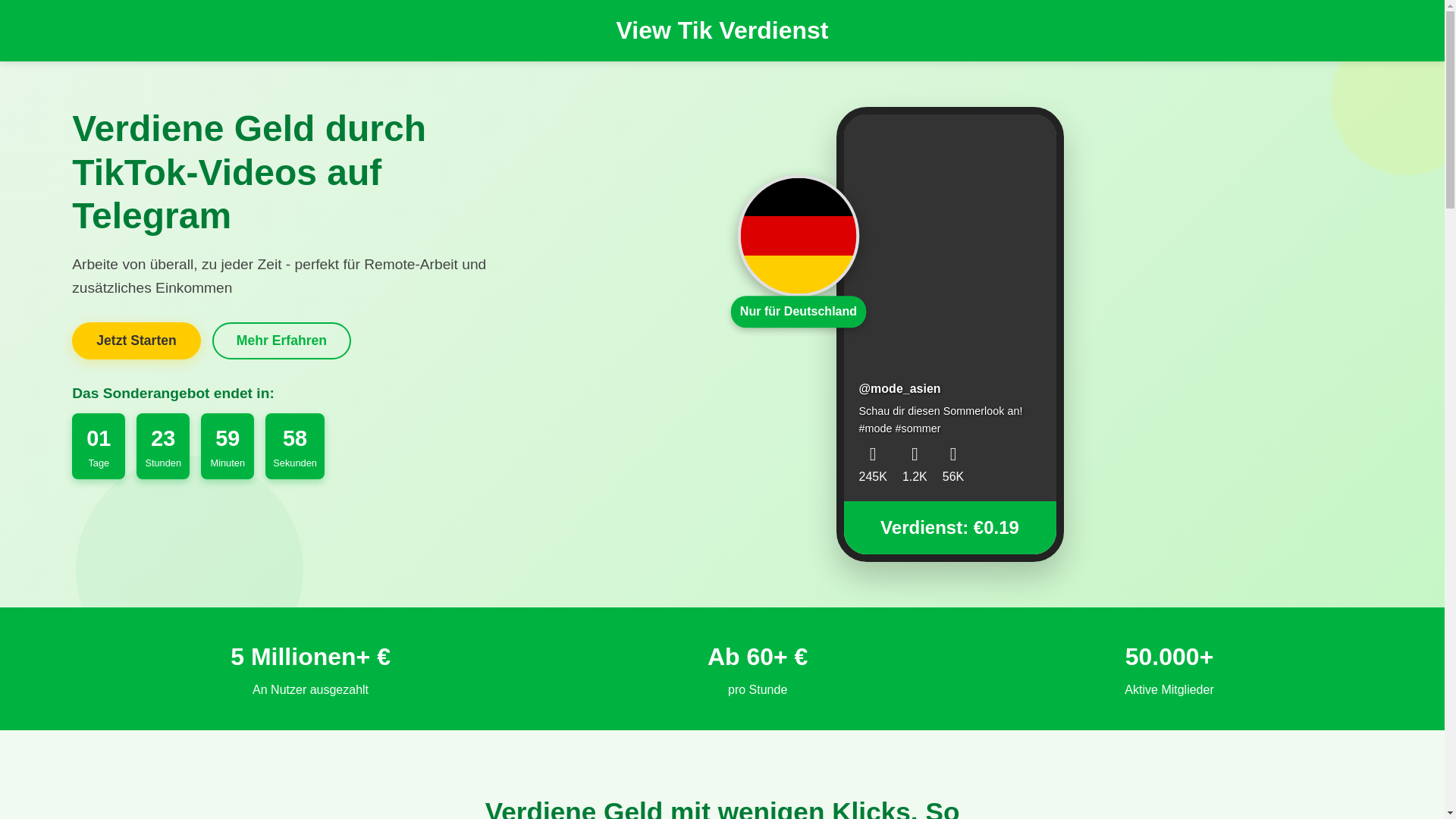 website screenshot of https://viewtik-verdienst.pages.dev/