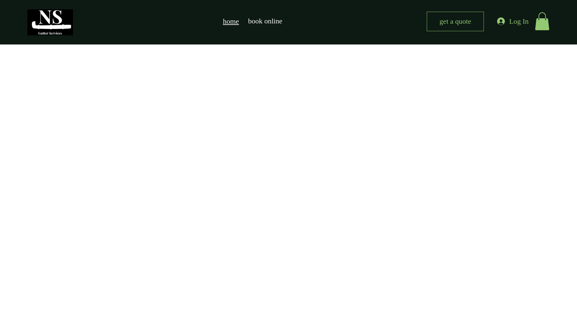 website screenshot of https://nsgutterservices.com