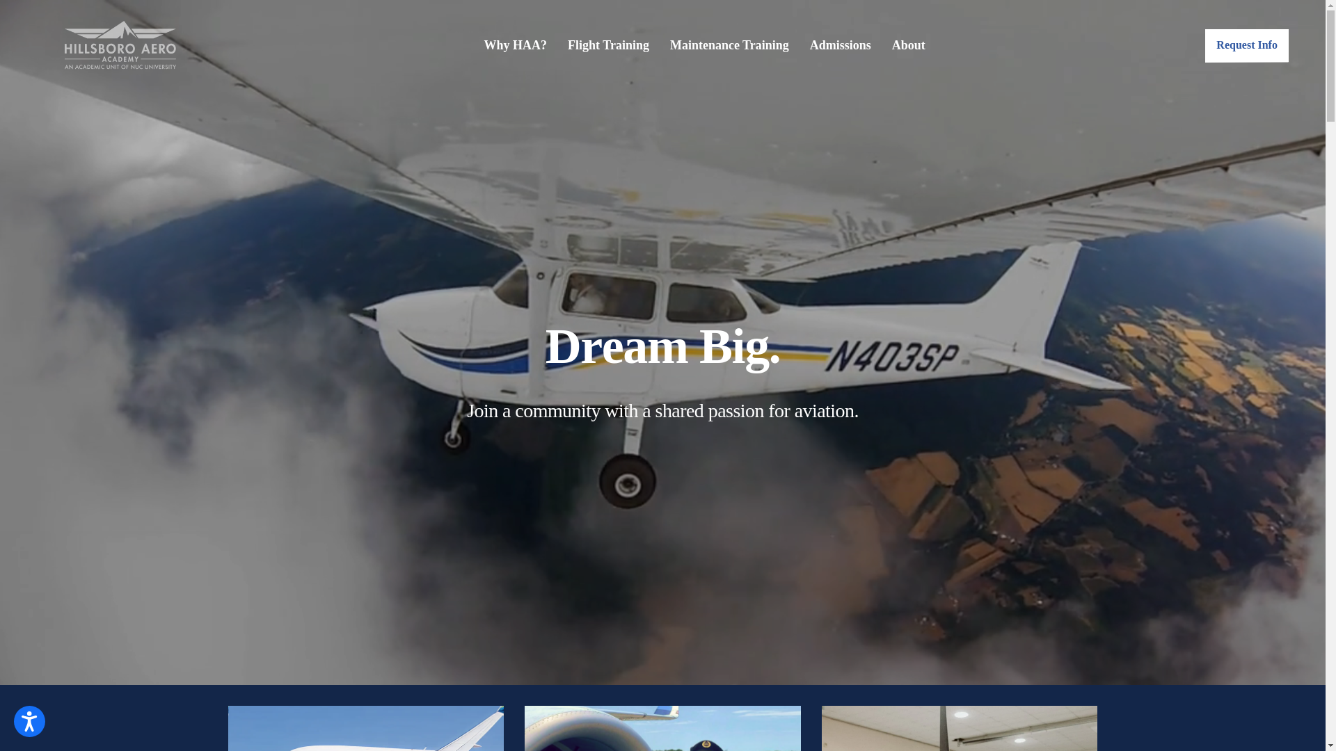 website screenshot of https://flyhaa.com/