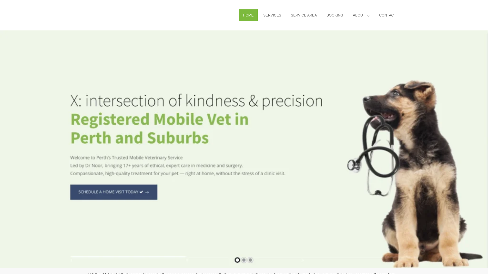 website screenshot of https://vetwanneroo.com.au
