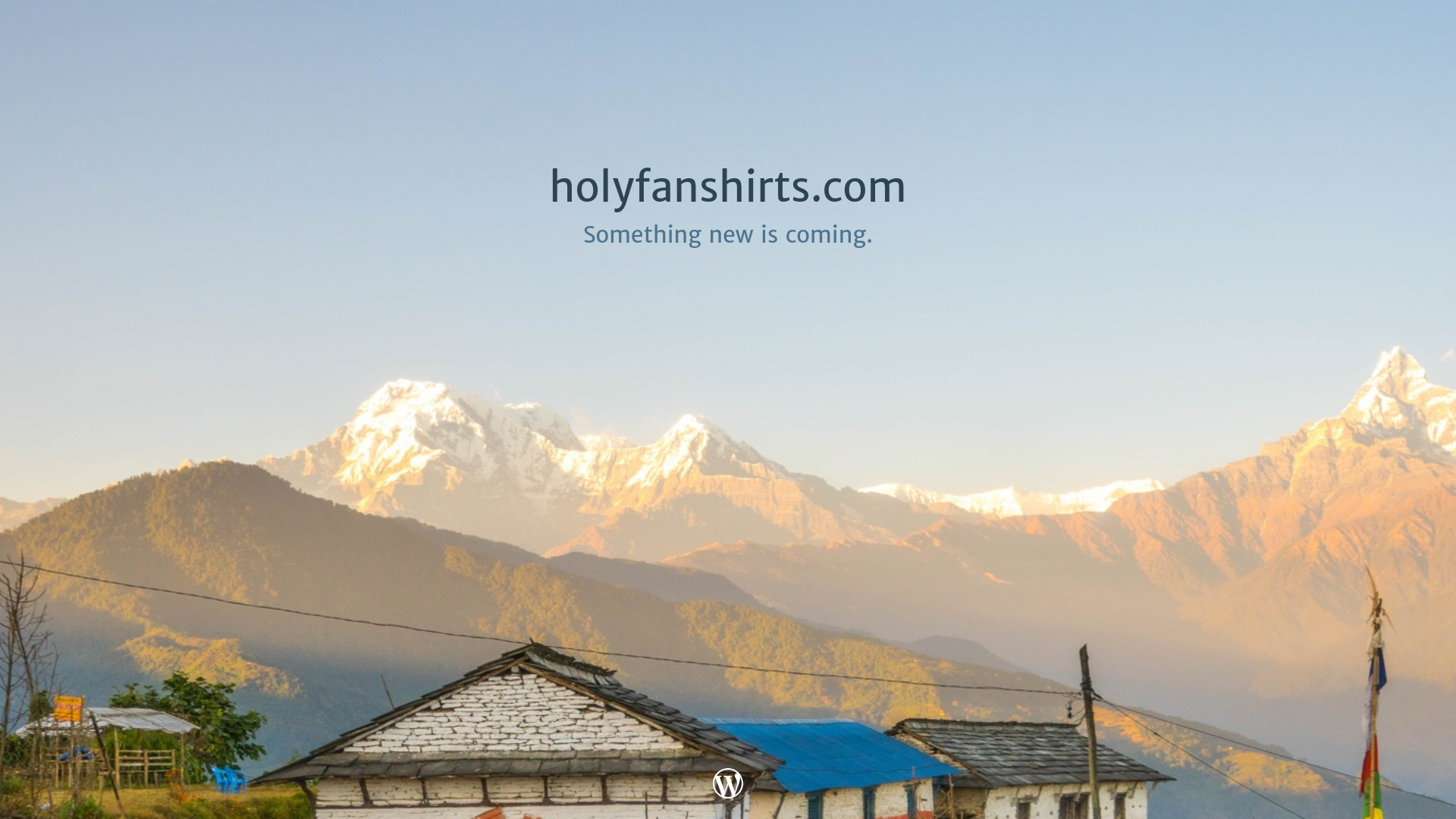 website screenshot of https://holyfanshirts.com/