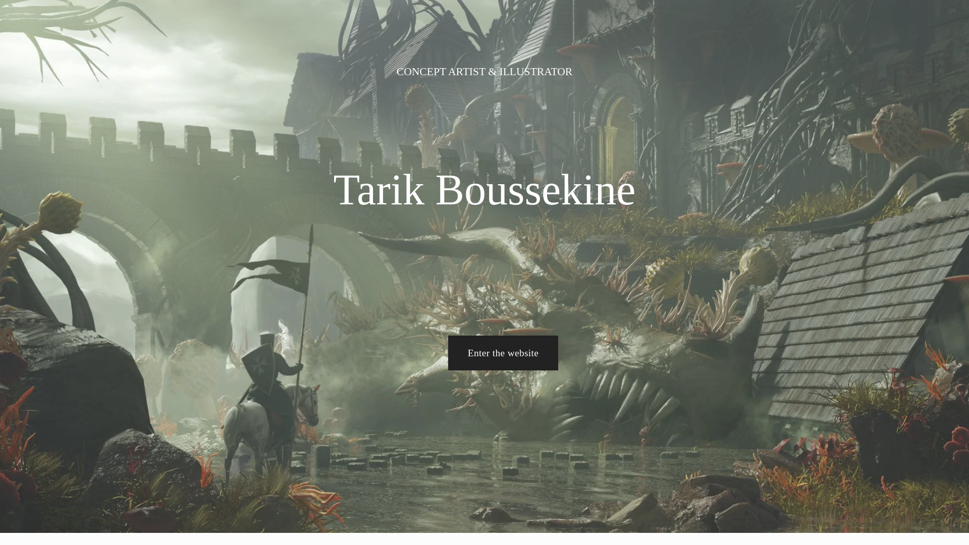 website screenshot of https://tarikboussekine.art/