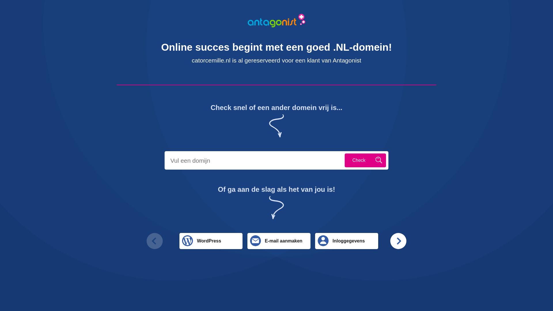 website screenshot of https://catorcemille.nl/