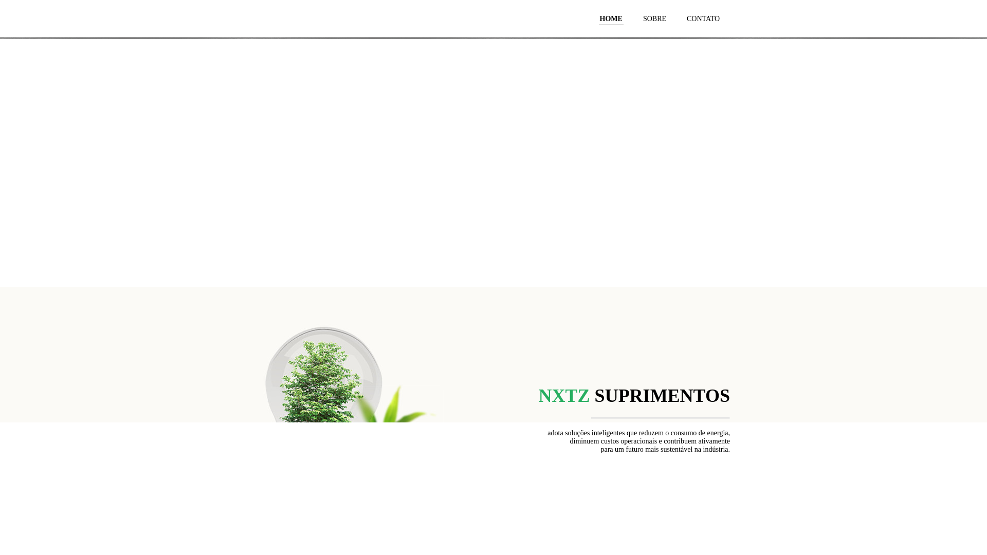 website screenshot of https://nxtzsuprimentos.com.br/