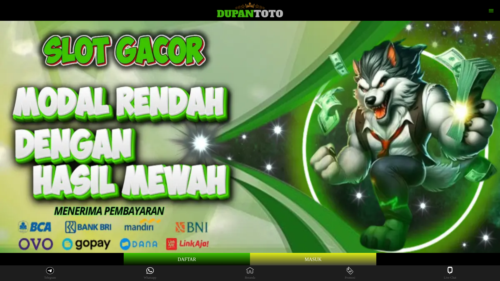 website screenshot of https://dupantoto.net