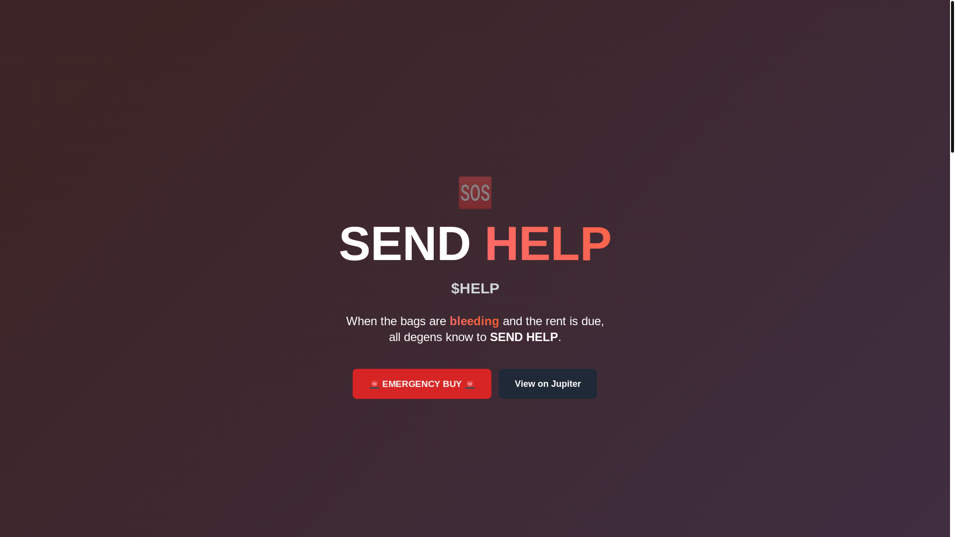website screenshot of https://sendhelp-test.online/