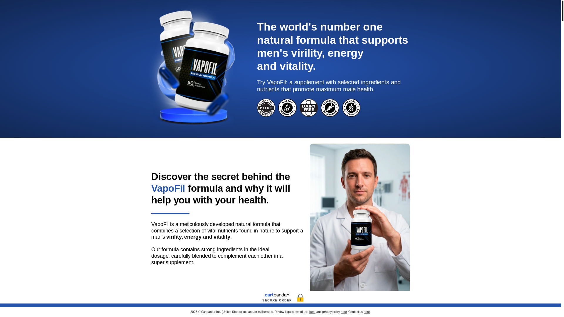 website screenshot of https://vapofil.website/