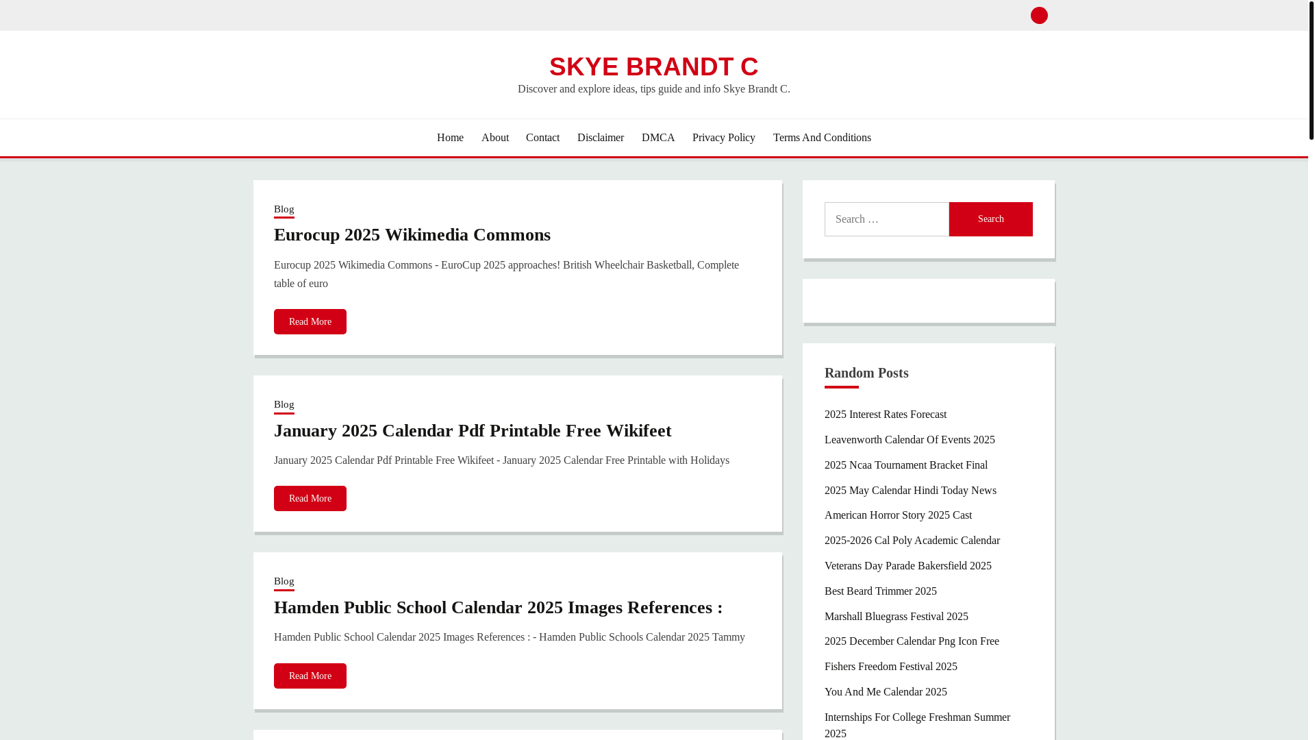 website screenshot of https://skyebrandtc.pages.dev/