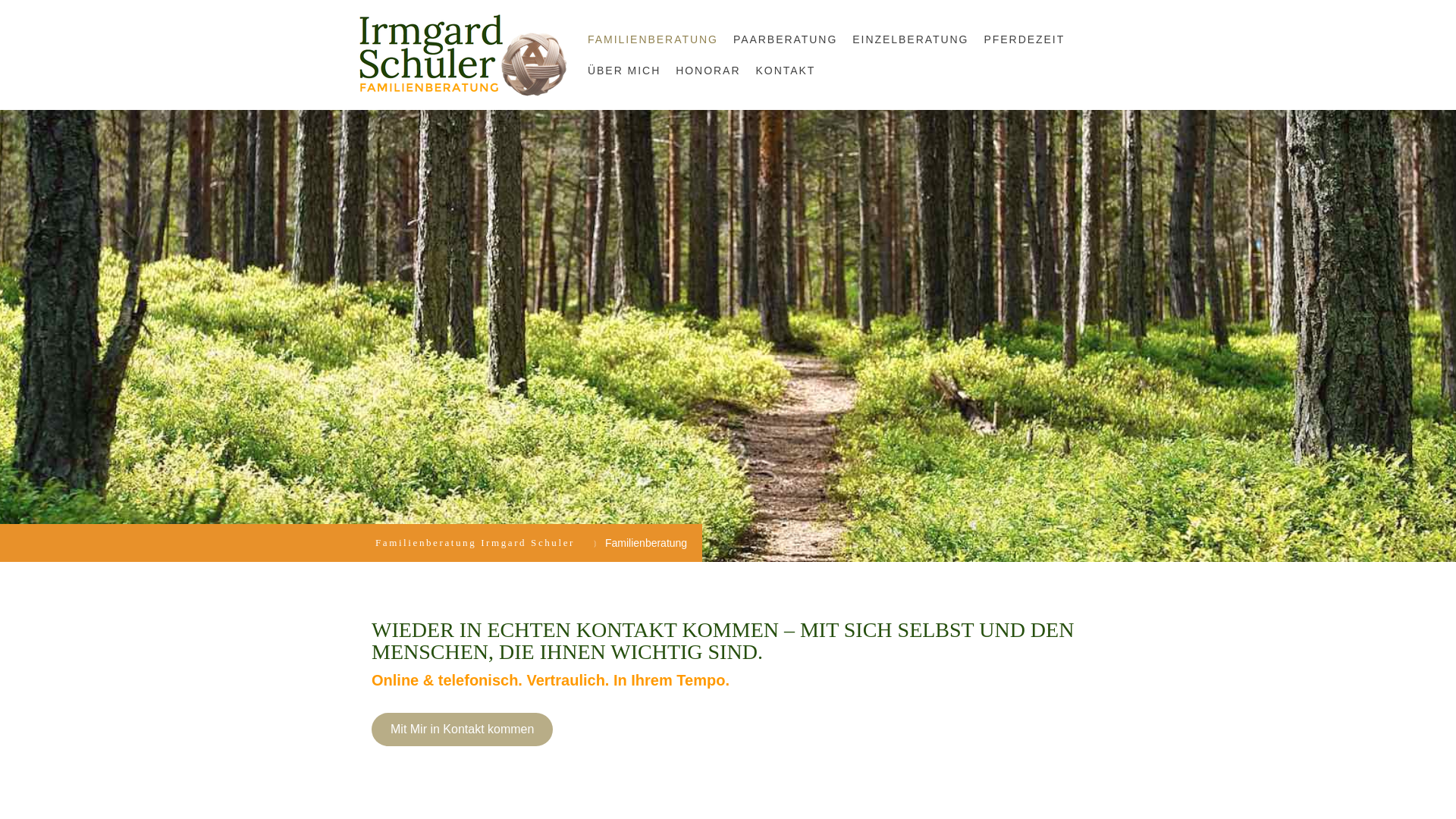 website screenshot of https://familienberatung-schuler.de/