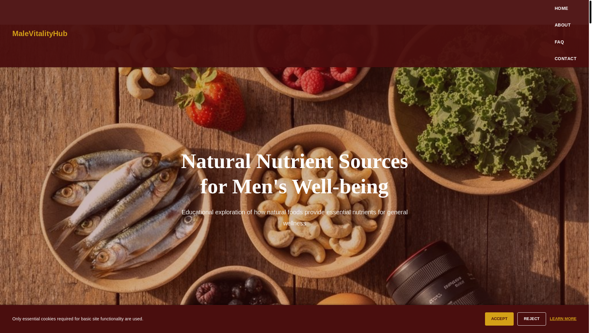 website screenshot of https://malevitalityhub.info/