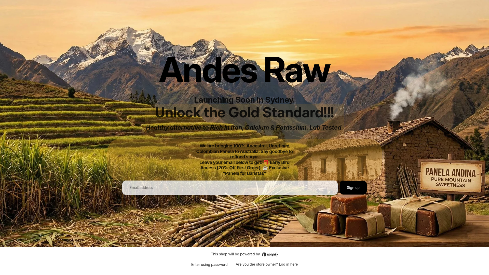 website screenshot of https://andesraw.online/
