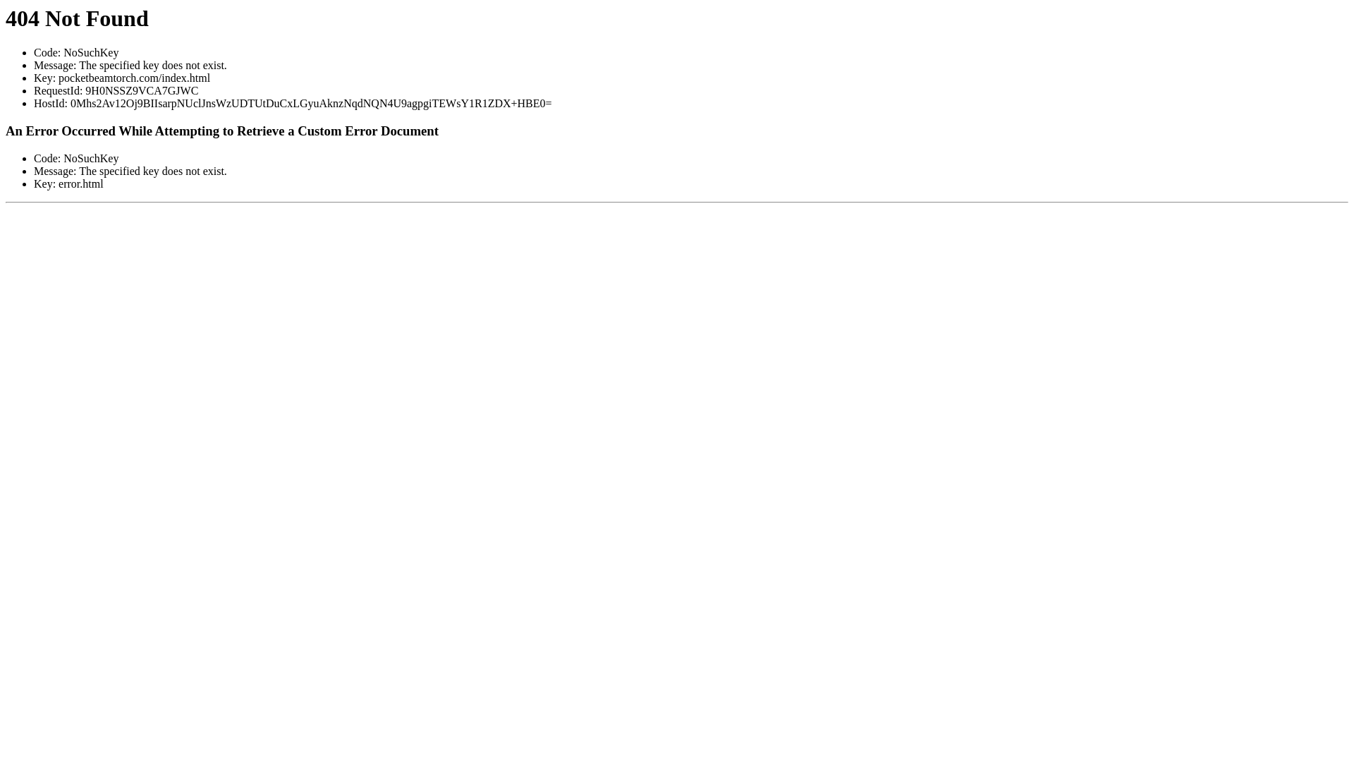 website screenshot of https://pocketbeamtorch.com/