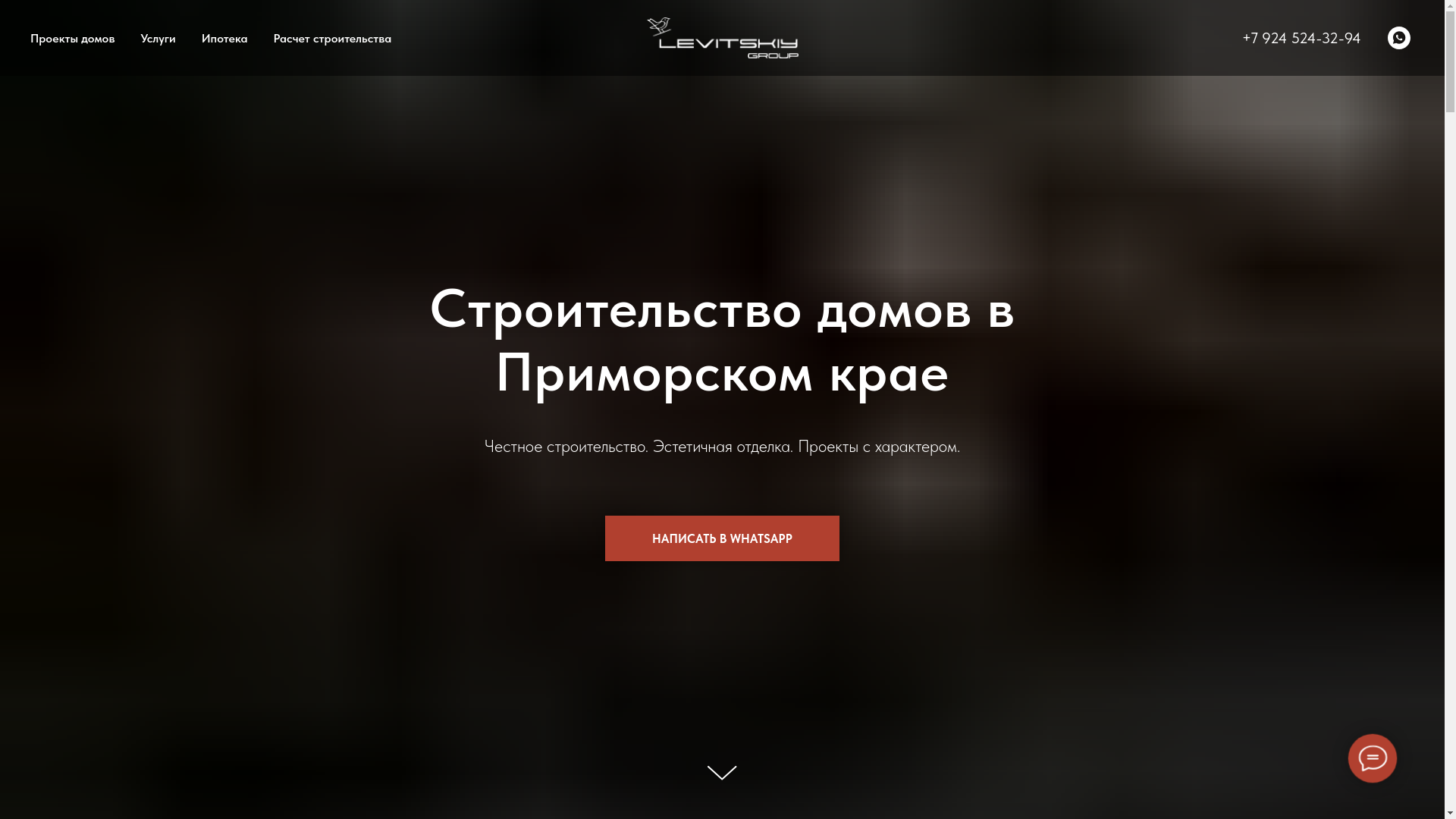 website screenshot of https://levitskiygroup.ru/