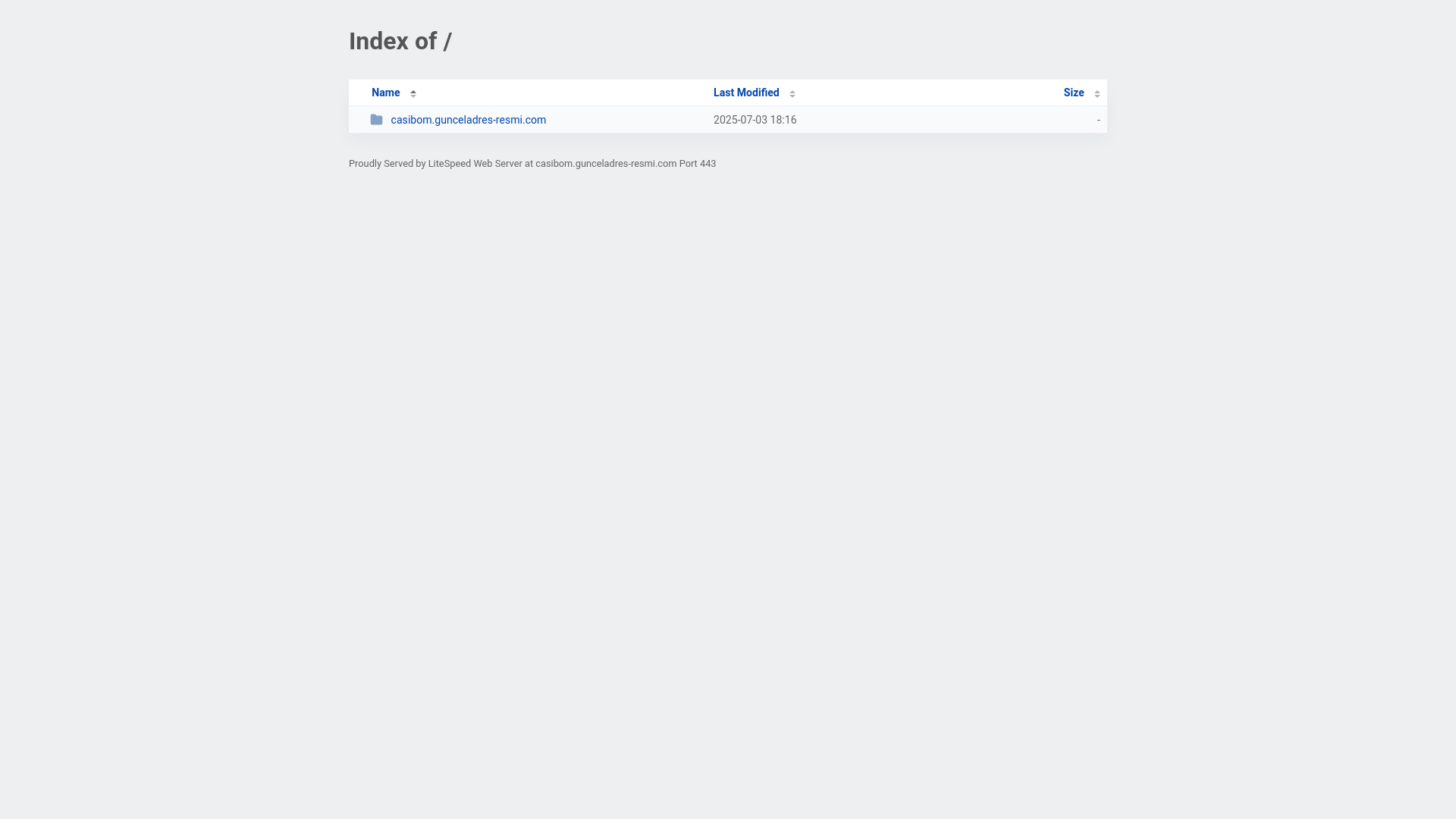 website screenshot of https://gunceladres-resmi.com/