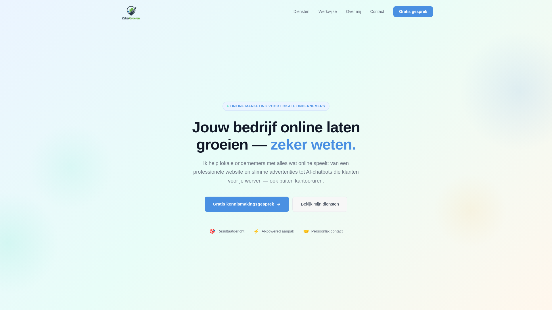 website screenshot of https://testwebsite.builders/