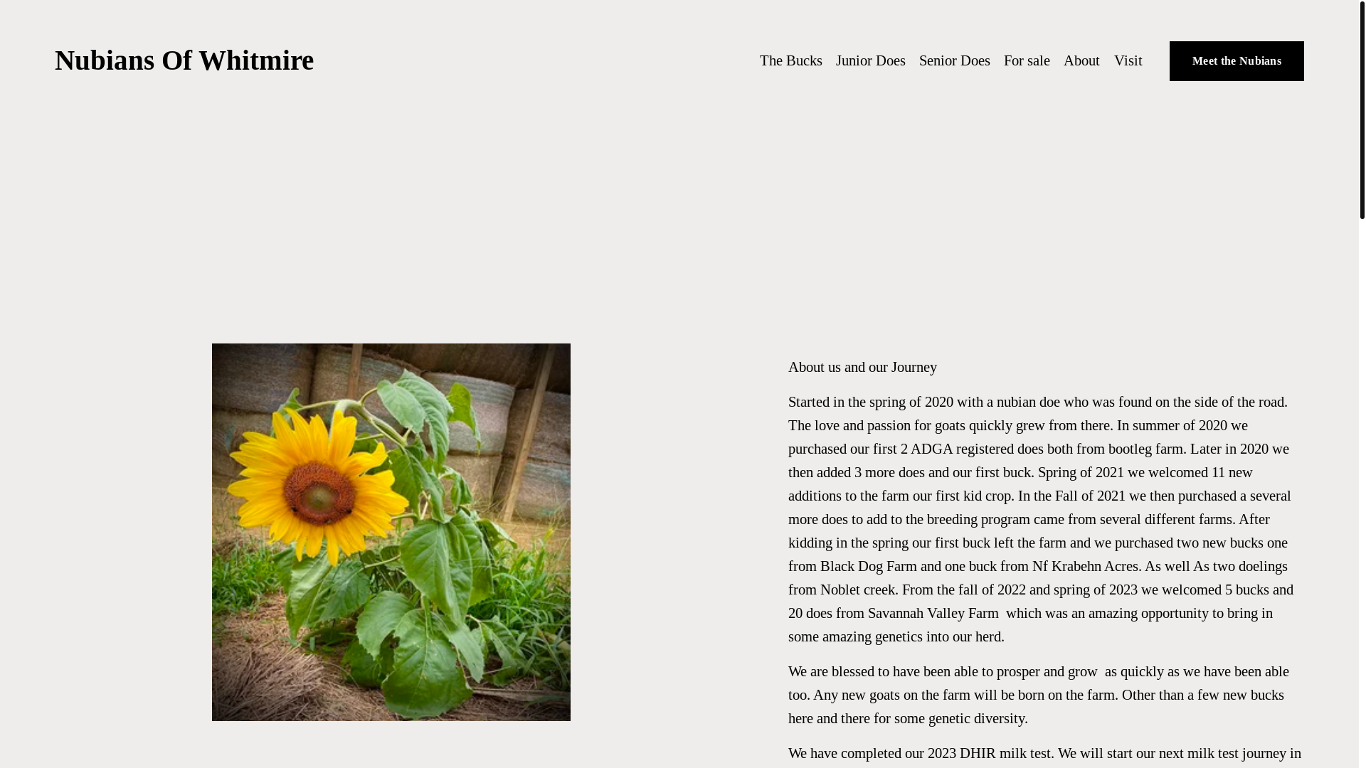website screenshot of https://miraclevalleyfarm.com/