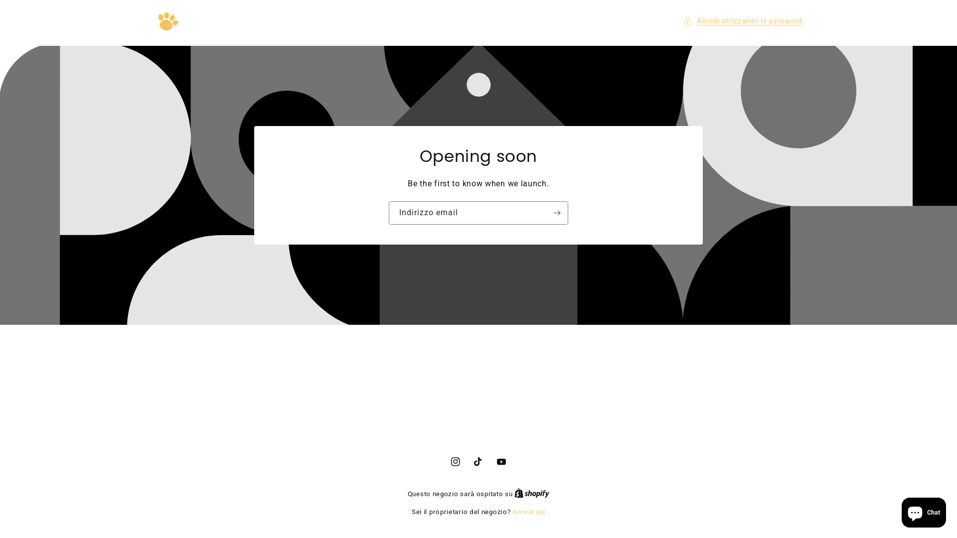 website screenshot of https://ashstore.it/