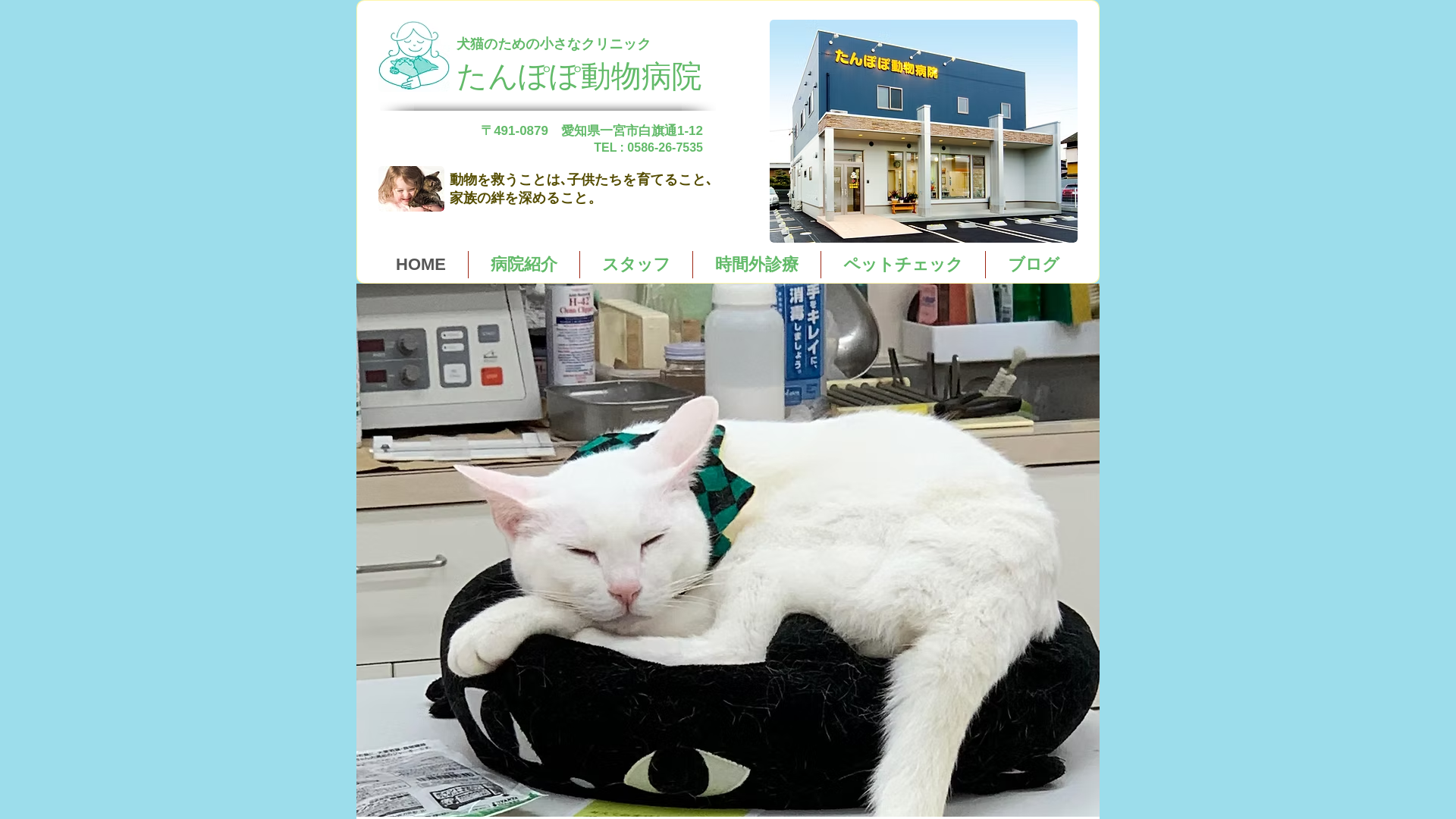 website screenshot of https://tanpopovetclinic.info/