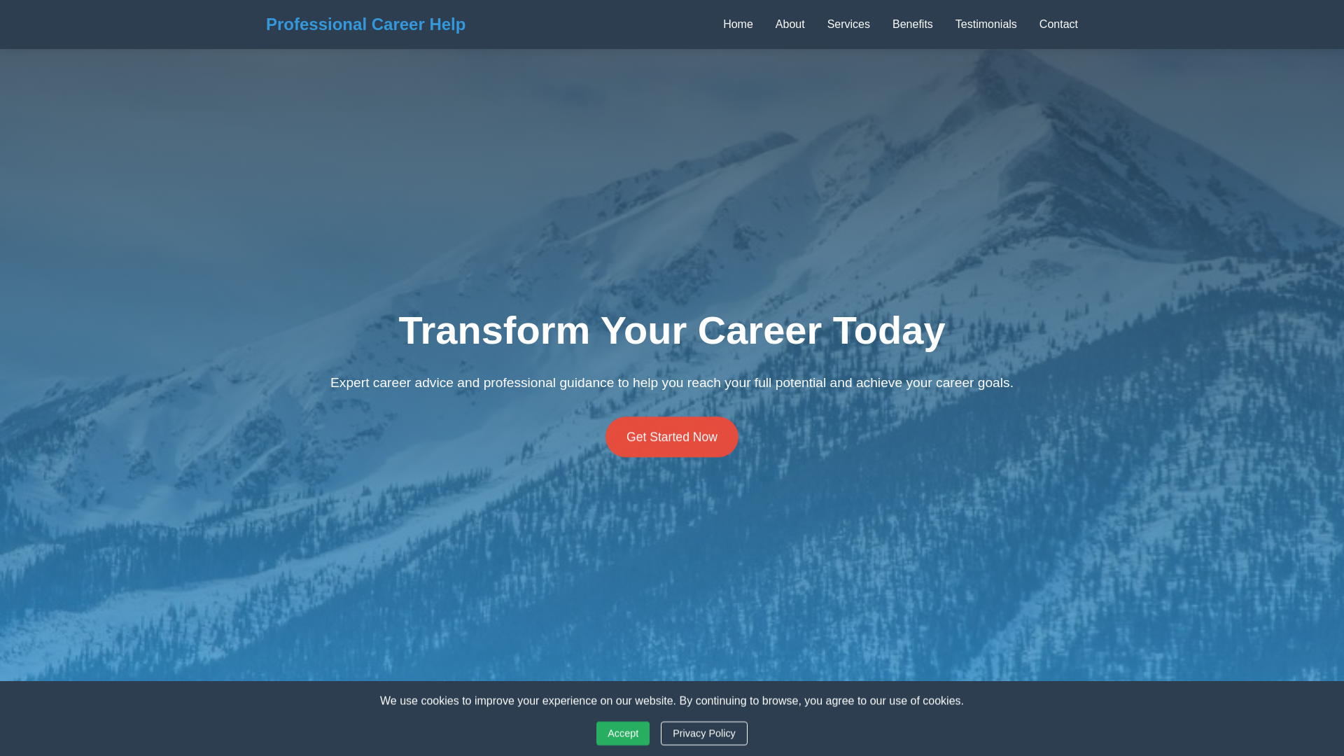 website screenshot of https://professionalcareerhelp.digital/