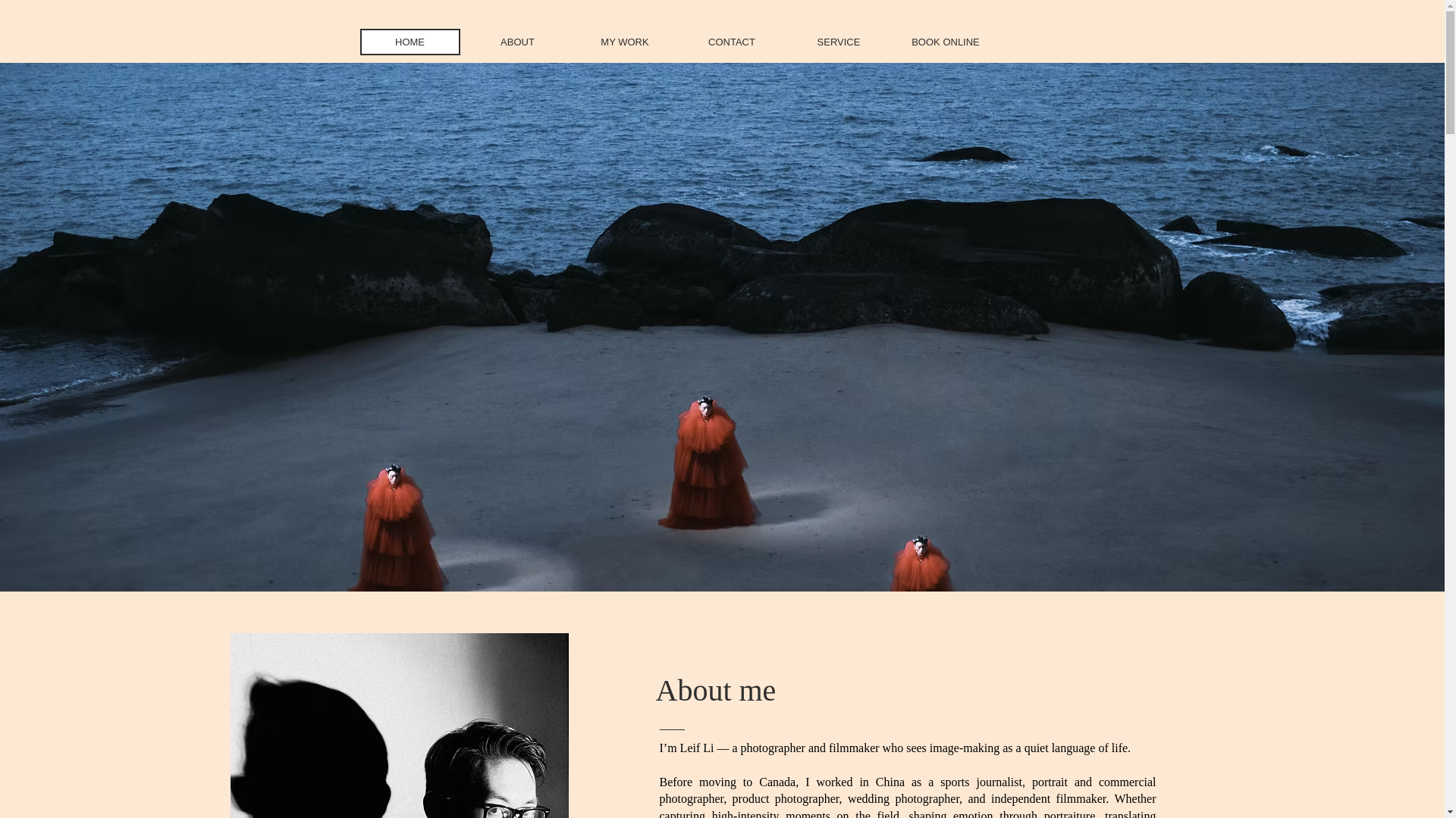 website screenshot of https://leafveilstudio1.com/