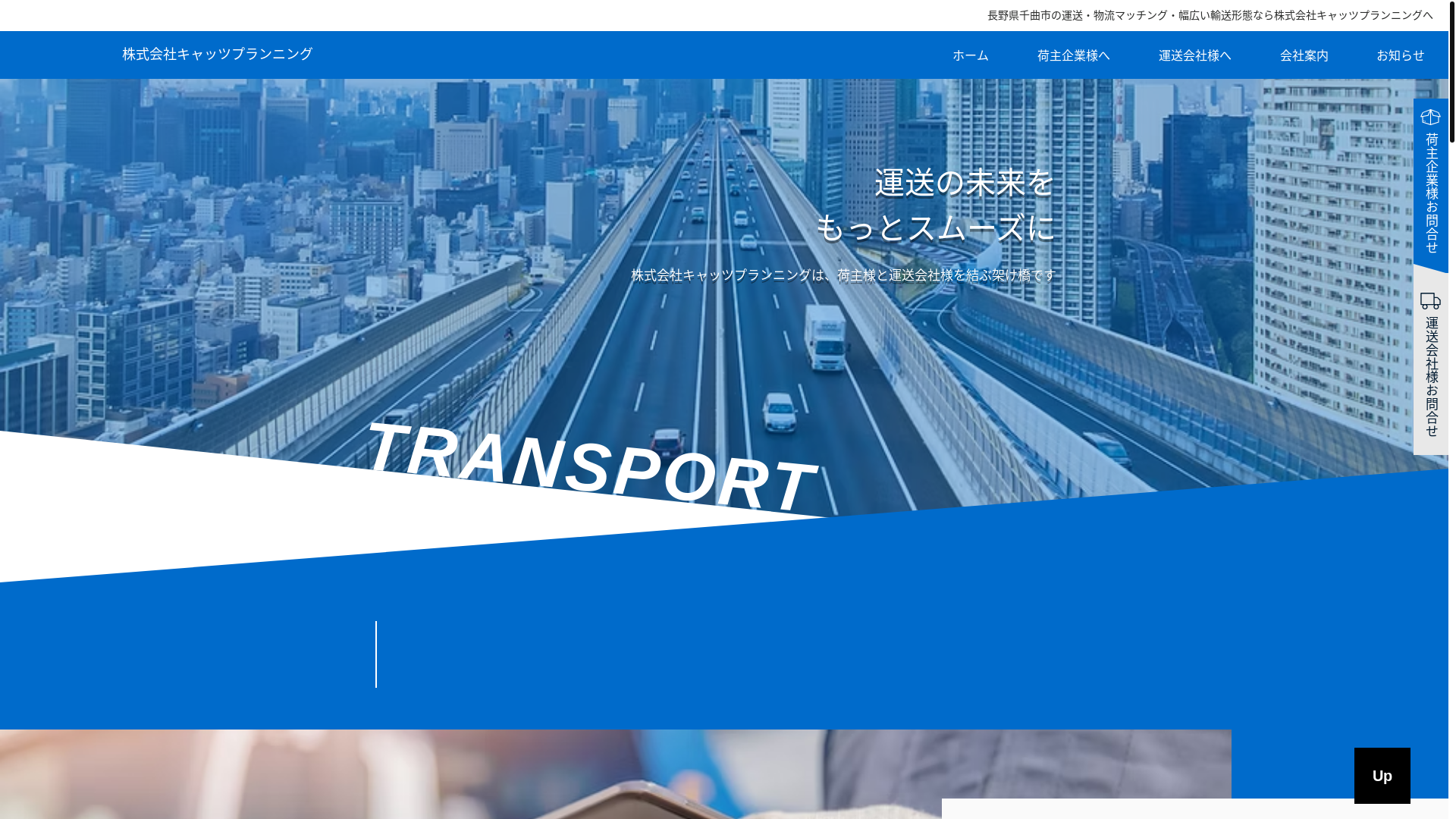 website screenshot of https://cats-planning.com/