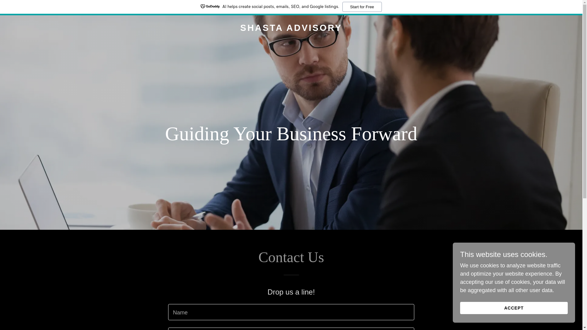 website screenshot of https://shastaadvisory.ai/