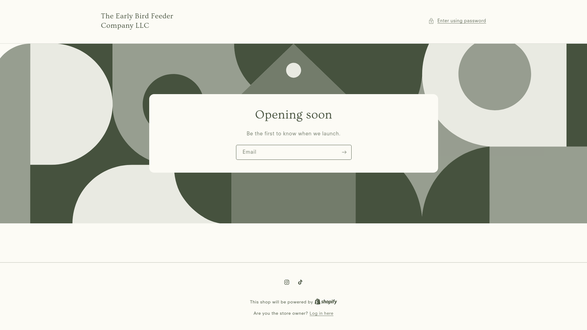 website screenshot of https://theearlybirdfeedercompanyllc.com/