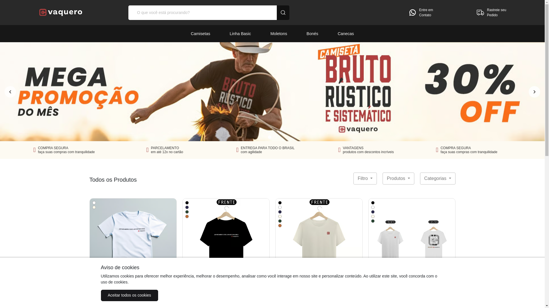 website screenshot of https://usevaquero.com.br/