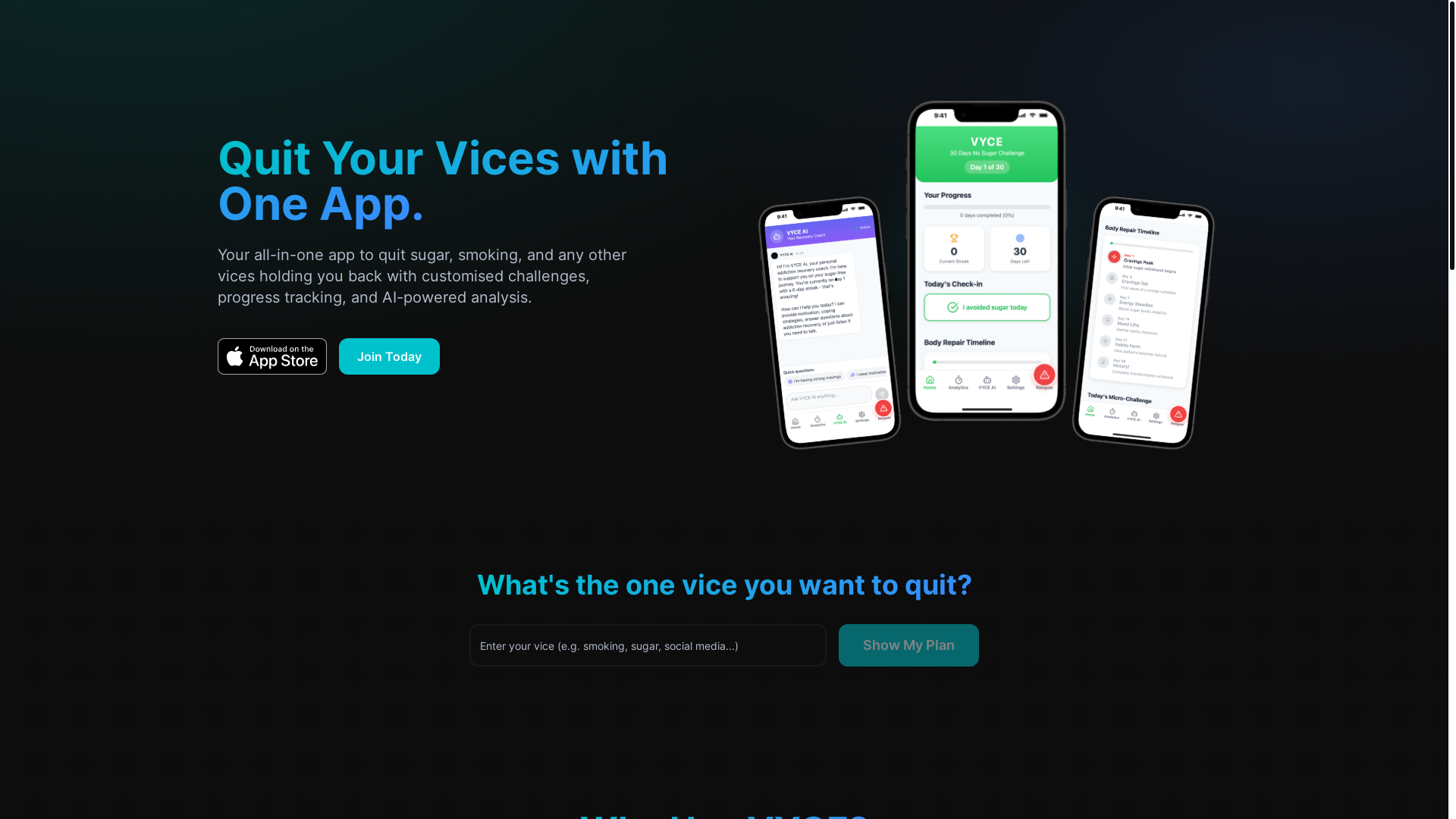 website screenshot of https://vyceapp.com/