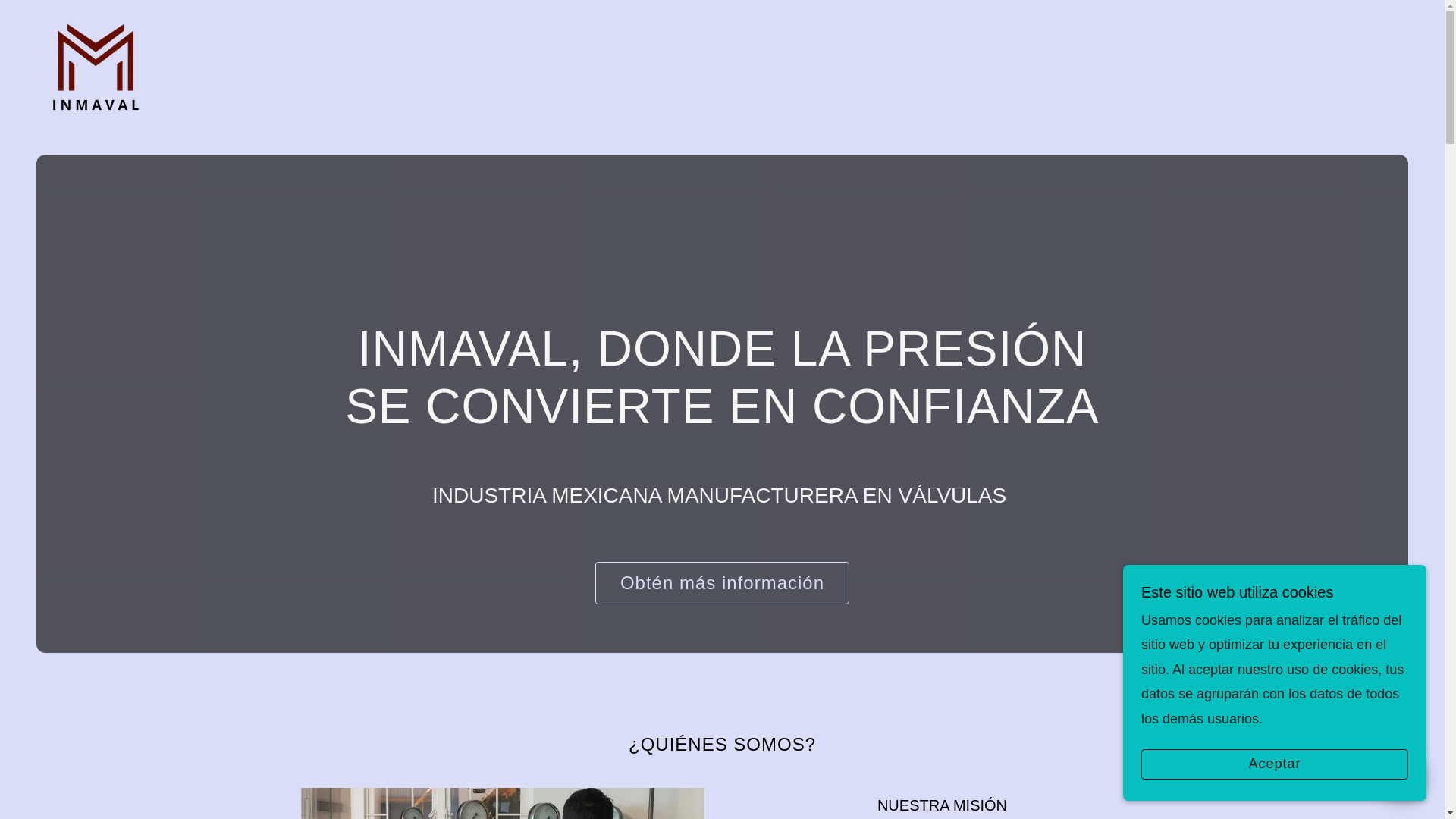 website screenshot of https://valvulasdeseguridadinmaval.com/