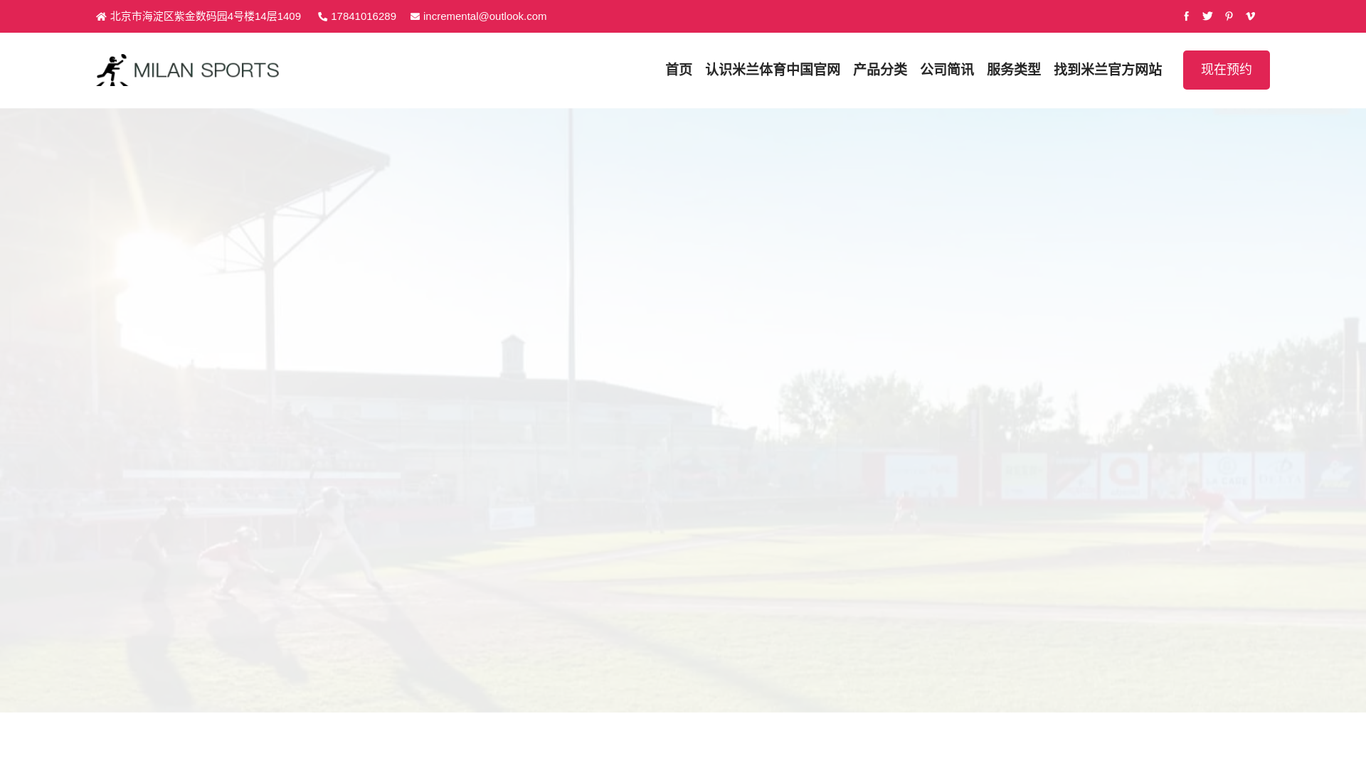 website screenshot of https://milan-tv-zh.com/