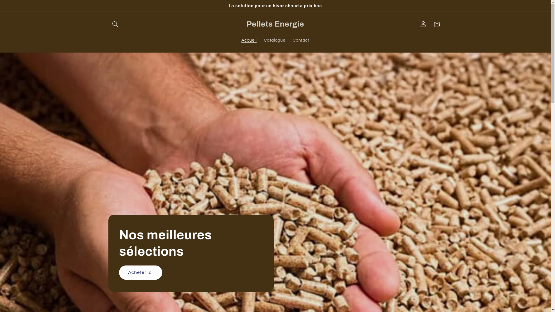 website screenshot of https://pellets-energie.fr/