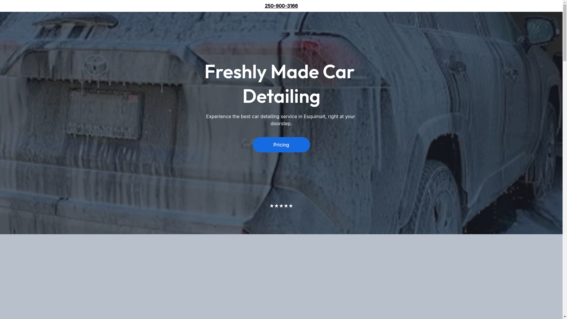 website screenshot of https://freshlymadecardetailing.shop/