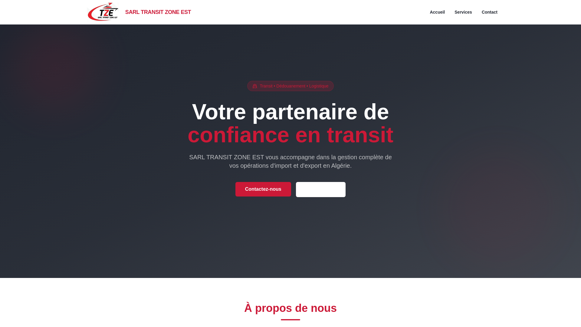 website screenshot of https://transitzoneest.com/