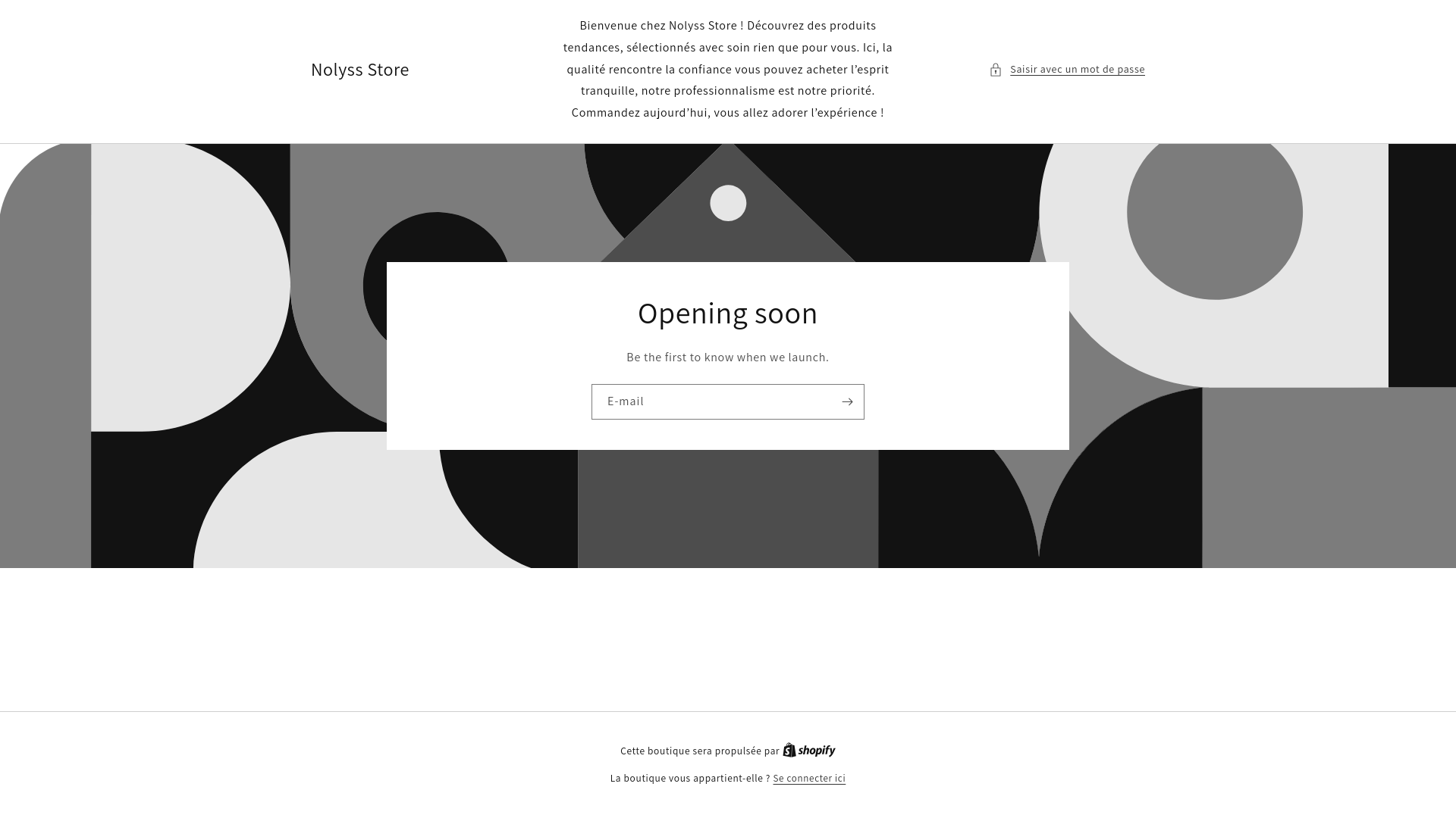 website screenshot of https://nolyssstore.com/