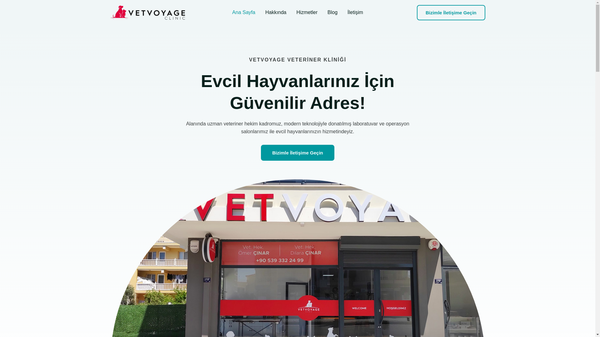 website screenshot of https://vetvoyage-webpage.pages.dev/