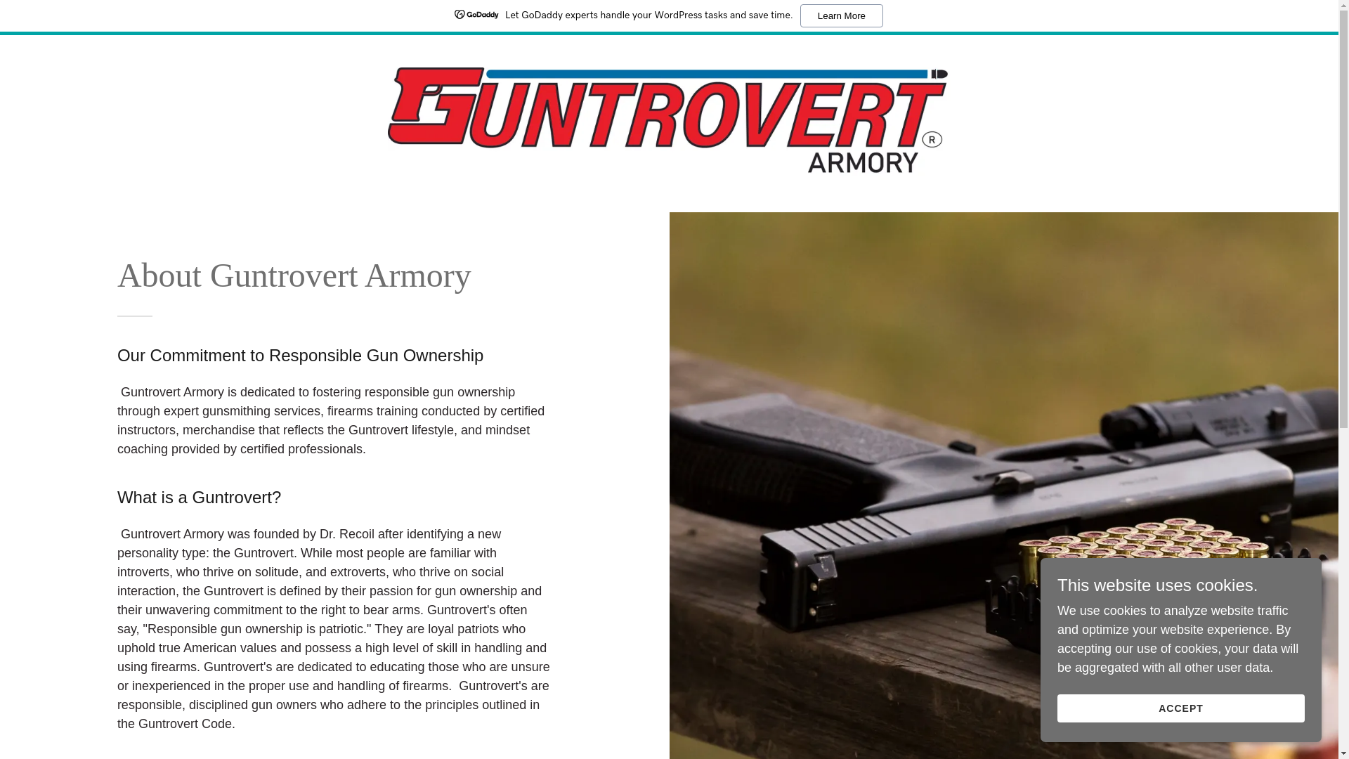 website screenshot of https://guntrovert.pro/