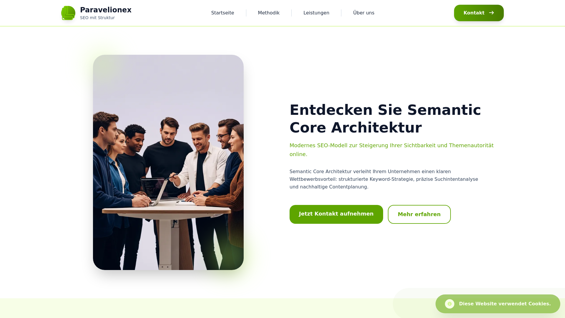 website screenshot of https://paravelionex.com/