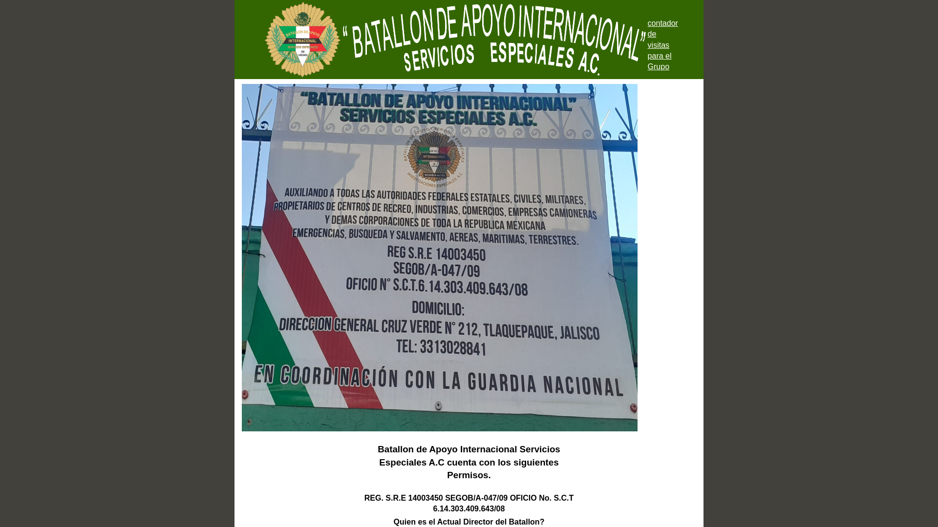 website screenshot of https://batallondeapoyointernacional.com.mx/